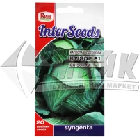 Насіння InterSeeds Syngenta Капуста білоголова середньостигла Куізор F1 20 шт